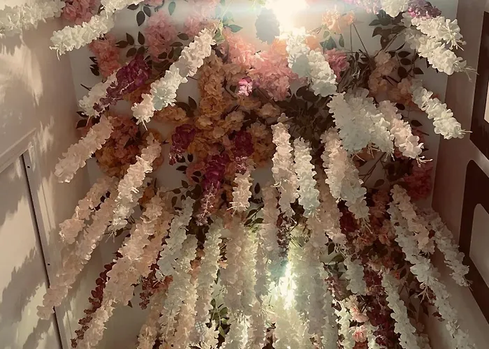 Jungle Suite, Jacuzzi A 7 Min De La * カレー