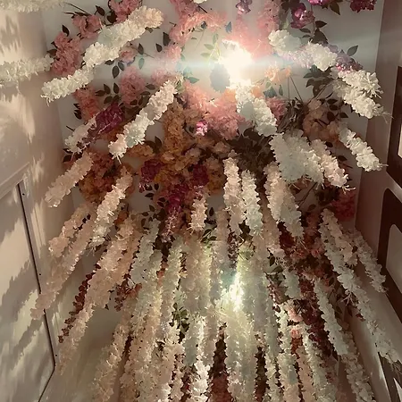 Jungle Suite, Jacuzzi A 7 Min De La * Calais